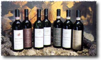 Our Wines
