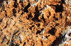 Terrenitriassici